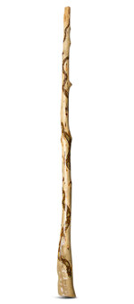 Heartland Didgeridoo (HD242)